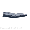  Kawasaki / Z900 / 2026