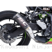  Kawasaki / Ninja ZX-4R / 2025