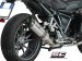 Oval Exhaust by SC-Project BMW / R1200RS / 2015